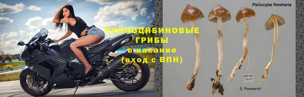 герыч Магас