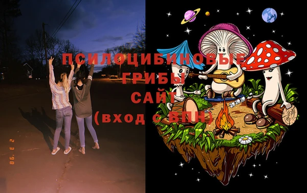крисы Лихославль