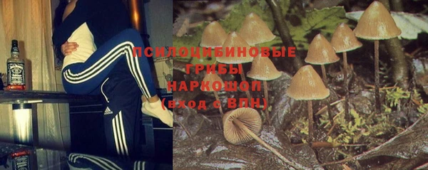 герыч Магас