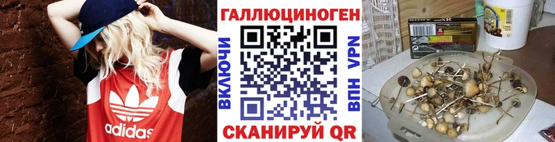 продажа наркотиков  Выкса  Галлюциногенные грибы прущие грибы 